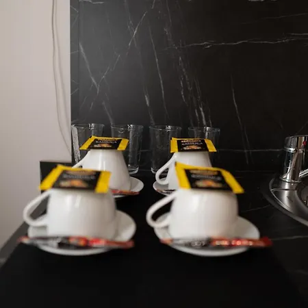 Pensiune The Only One Accommodation Ni